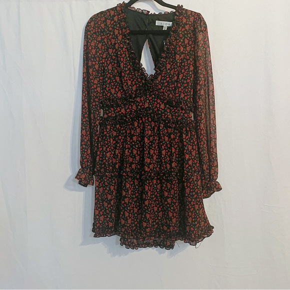 (New with Tags) Row A Floral Ruffle Long Sleeve Mini Dress - Picture 6 of 9